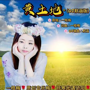 黄土地（DJ默涵版）