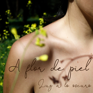 Nunca a Vuestros Pies