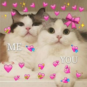 想 我 你 就 点 点 头