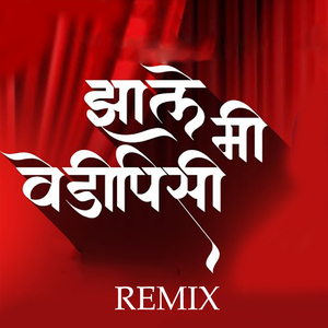 Zale Mi VedipishI (Remix)