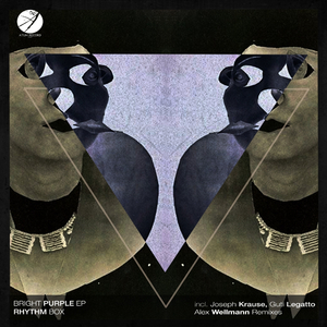 Musical Cortege (Guti Legatto, Alex Wellmann Remix)