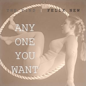 Anyone you want (feat. Felix New) (Blakk Habit Club Remix)