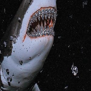 Sharks