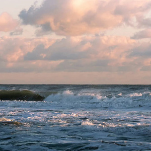 云烟成雨（Cover房东的猫）