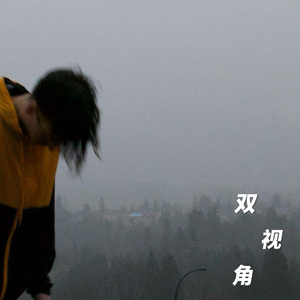 双视角（prod EVO MUSIC）