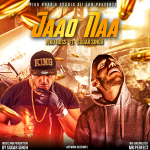 Jaao Naa (feat. Sugar Singh)