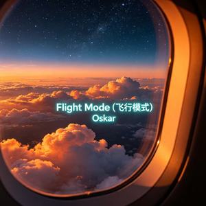 Flight Mode （飞行模式）