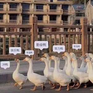 别怕变老（cover 艾热/王以太）