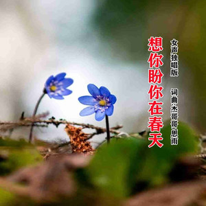 想你盼你在春天