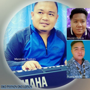 Oko Puunon Oko Laison