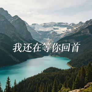 我还在等你回首
