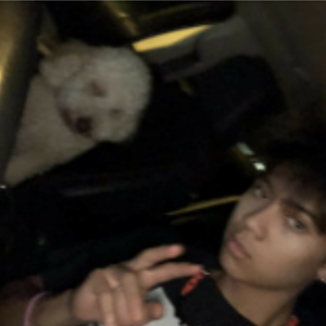 Whopped