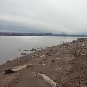 Dog Days (Special Version)