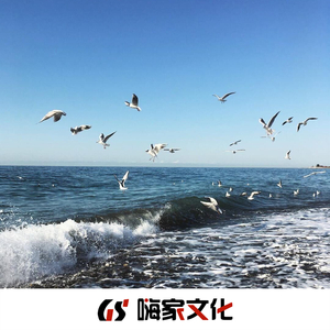 喝不够的酒(DJ版)