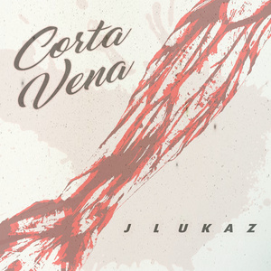 Pensaste (Remix)
