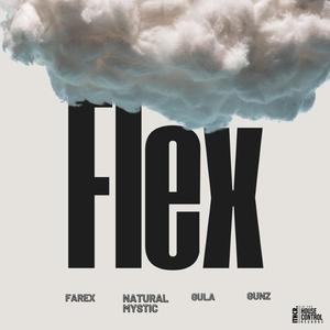Flex (feat. Farex, Natural mystic, Gula & Gunz)