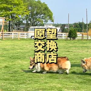 愿望交换商店 cover：夏企