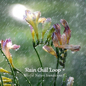 Pluviophile's Playground