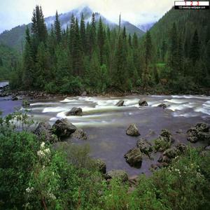 The Last Song I Sing