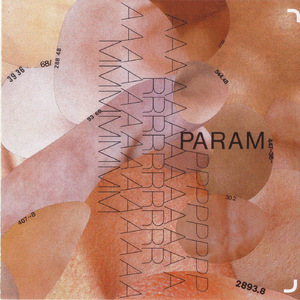 Param (Extended Vinyl Version)