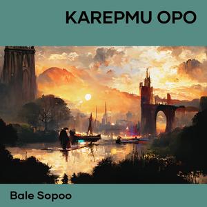 Karepmu Opo