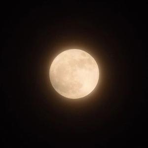 THWID (feat. NBF Reezy)