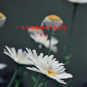 把你的一生借给我一天 (Dj版)