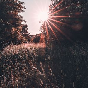 [FREE] "迷失" Pain x Toosii Type Beat