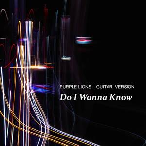 Do I Wanna Know (Guitar Version)