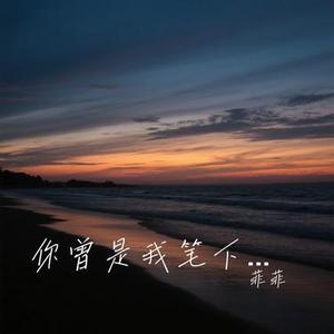 你曾是我笔下的诗 (Cover 赵乃吉)