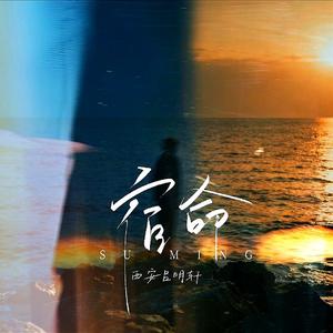 宿命 (我还是不能忘记你)