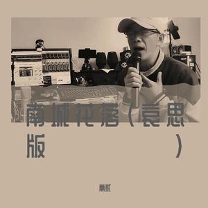 南城花落（哀思版）