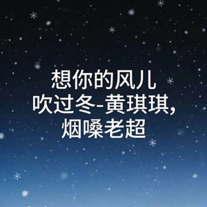 想你的风儿吹过冬 (DJ版)