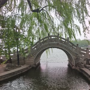 怀念依旧