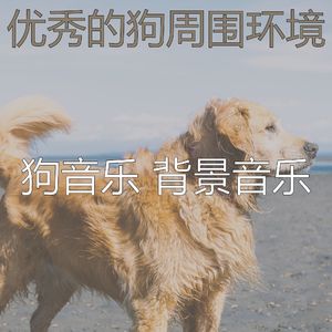 有趣幼犬情怀
