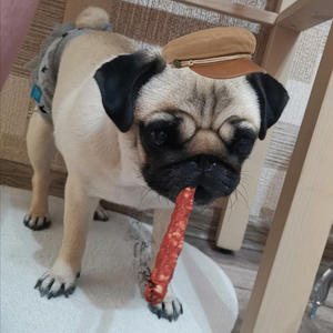 Четвёртое января