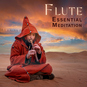 Meditational Insight