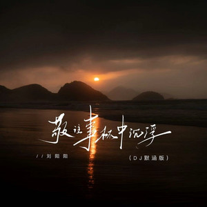 敬往事杯中沉浮 (DJ默涵版伴奏)