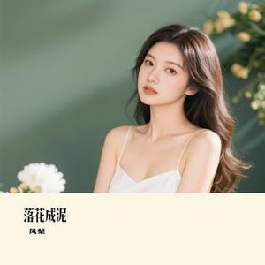 落花成泥 (凤梨 Remix)