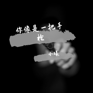 你像是一把手枪Demo