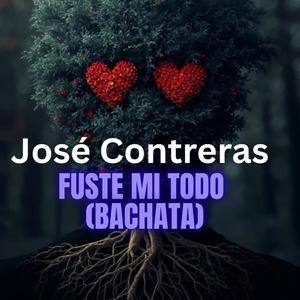 Fuiste mi todo (bachata)