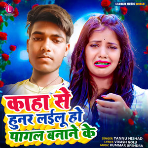 Kaha Se Hunar Lailu Ho Pagal Banane Ke