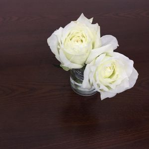 想和你坐在那片星空下（伴奏）