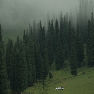 《梦乡雨Day off》