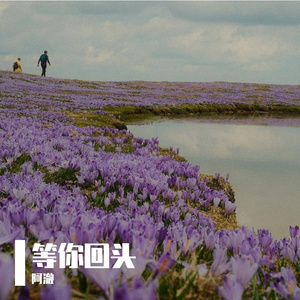 等你回头