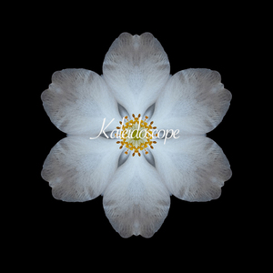 Hesiod Leo Feat. Hang - Kaleidoscope (Original Mix)