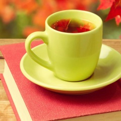 雪之梦 (扬琴版)