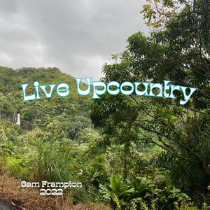 Rhodonite (live) (Live)