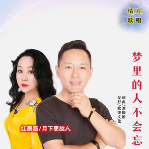 梦里的人不会忘 (对唱舞曲版)