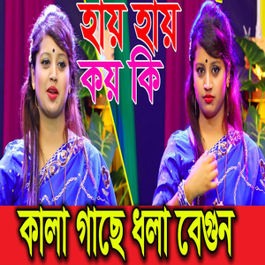 কালা গাছে ধলারে বেগুন